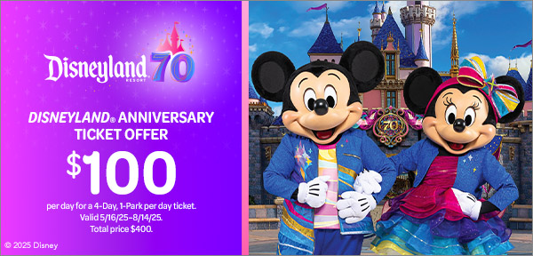 Disney ticket store banner