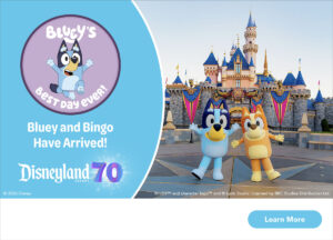 graphic Bluey And Bingo with link to tickets sales